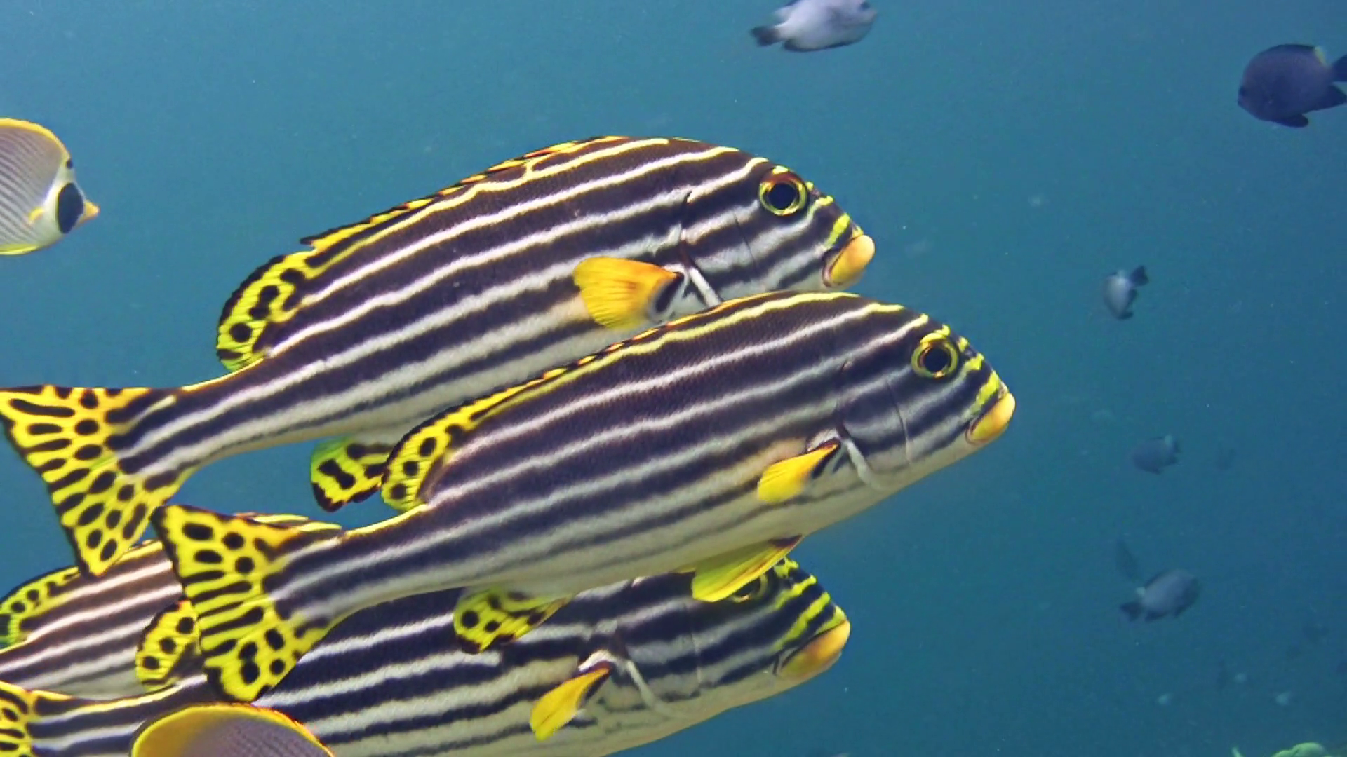 25B55D89-2622-4CB6-8B05-3AA78AFC976F